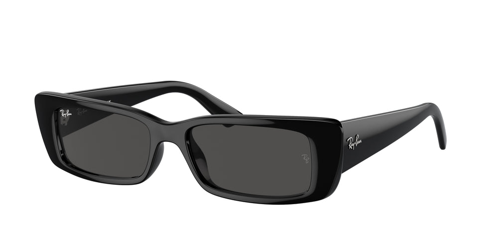 RAY BAN TERU RB4425