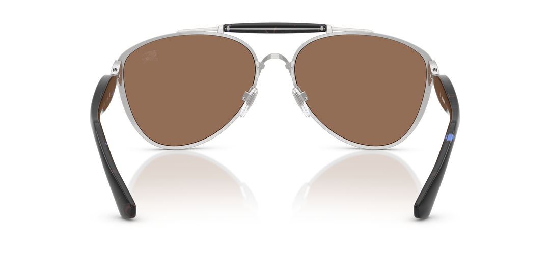 Burberry BE3160 100573 Plateado / Marrón oscuro vista 4
