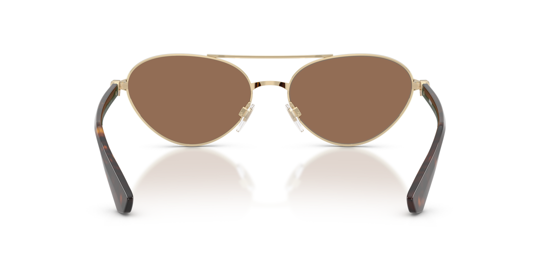 Burberry BE3165 110973 Dorado claro / Marrón oscuro vista 4