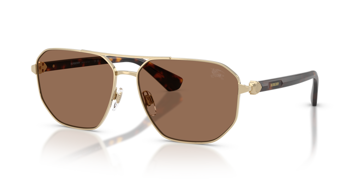 Burberry BE3166 110973 Dorado claro / Marrón oscuro vista 2