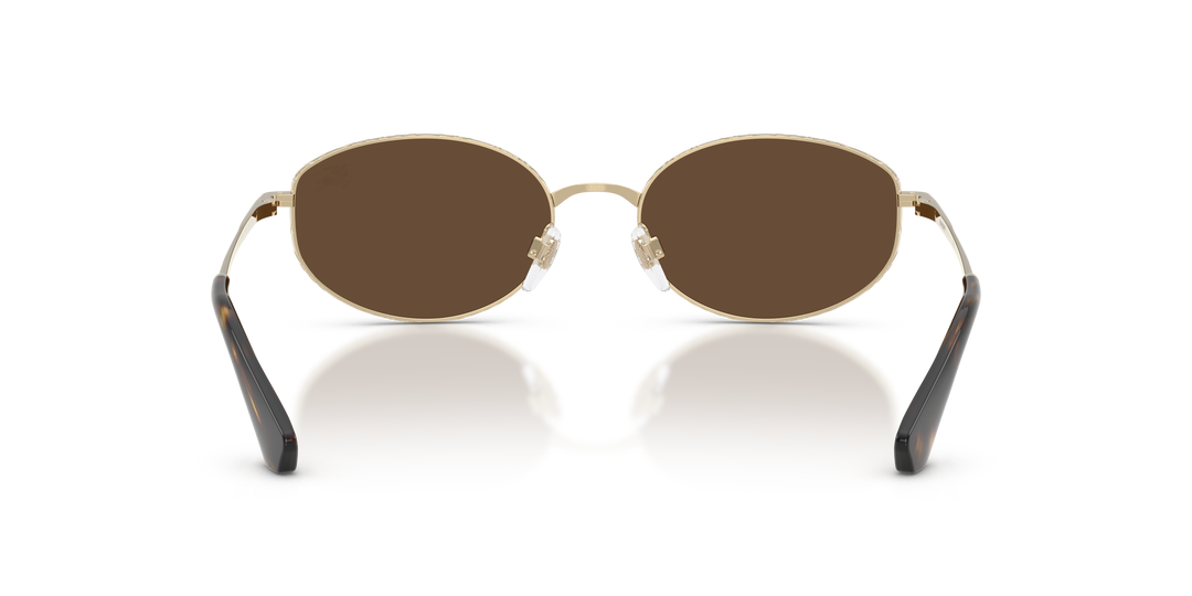 Burberry BE3169 110973 Dorado claro / Marrón oscuro vista 4