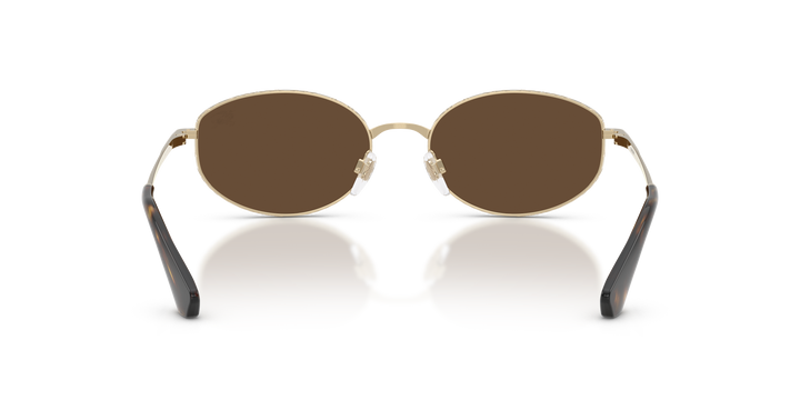 Burberry BE3169 110973 Dorado claro / Marrón oscuro vista 4