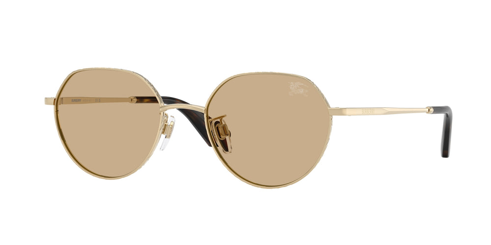BURBERRY BE3173D