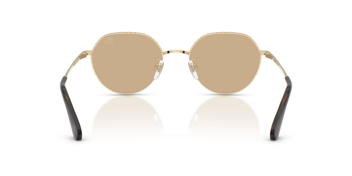 Burberry BE3173D 110973 Dorado claro / Marrón oscuro vista 4