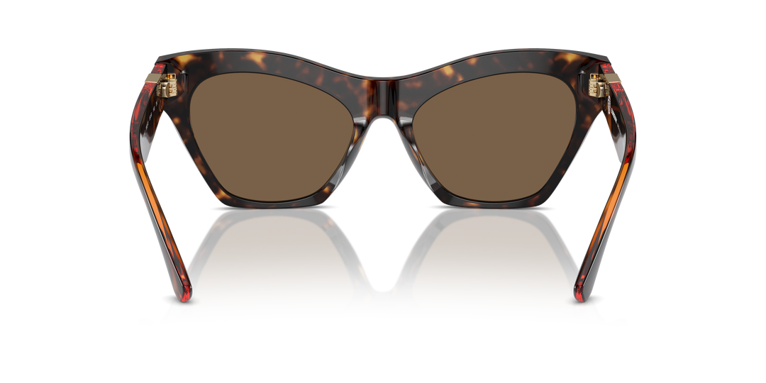 Burberry BE4420U 300273 Havana oscuro / Marrón oscuro vista 4