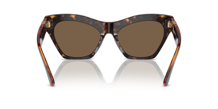 Burberry BE4420U 300273 Havana oscuro / Marrón oscuro vista 4
