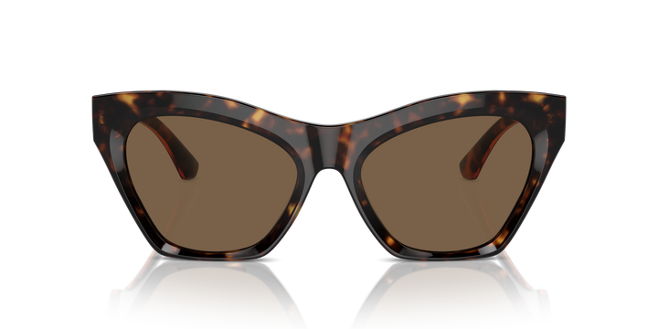 Burberry BE4420U 300273 Havana oscuro / Marrón oscuro vista 5