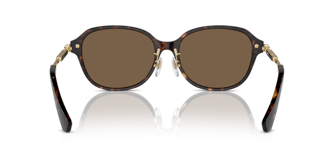 Burberry BE4429D 300273 Havana oscuro / Marrón oscuro vista 4