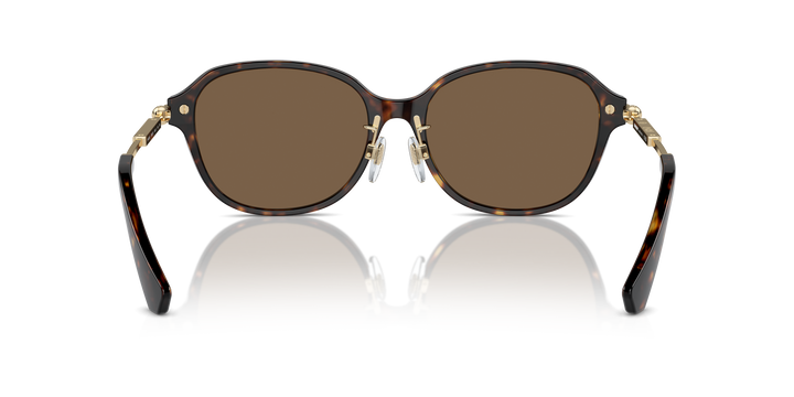 Burberry BE4429D 300273 Havana oscuro / Marrón oscuro vista 4