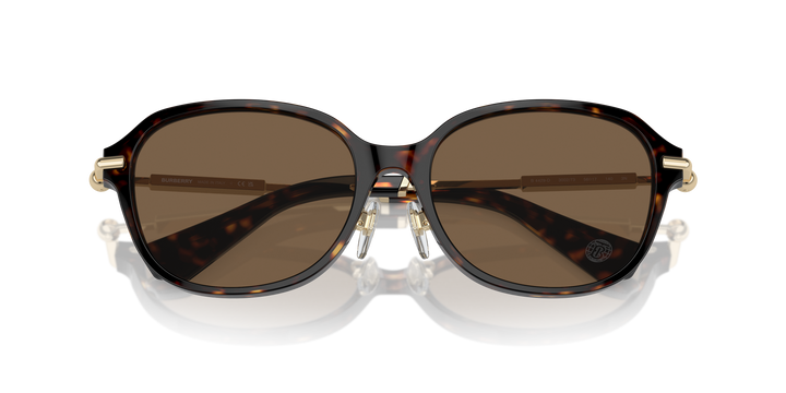 Burberry BE4429D 300273 Havana oscuro / Marrón oscuro vista 6