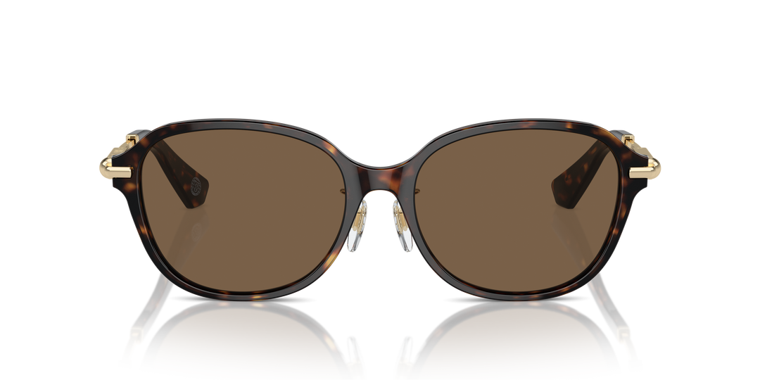 Burberry BE4429D 300273 Havana oscuro / Marrón oscuro vista 5