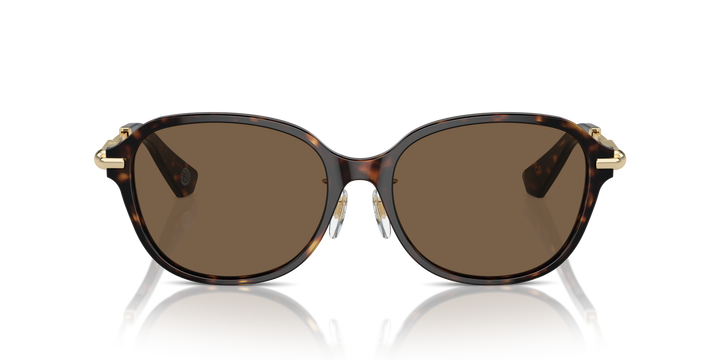 Burberry BE4429D 300273 Havana oscuro / Marrón oscuro vista 5