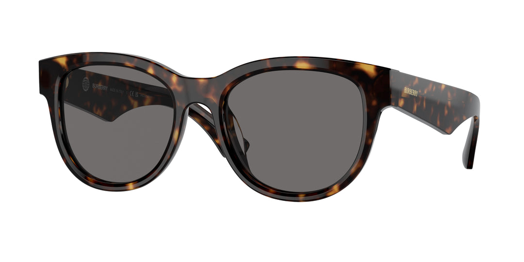 Burberry BE4432U 300281 Havana oscuro / Gris oscuro polarizado vista 1