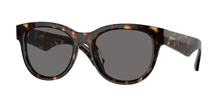 Burberry BE4432U 300281 Havana oscuro / Gris oscuro polarizado vista 1