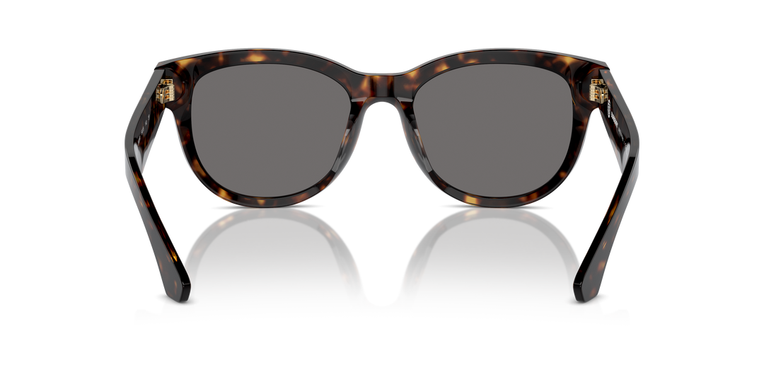 Burberry BE4432U 300281 Havana oscuro / Gris oscuro polarizado vista 4