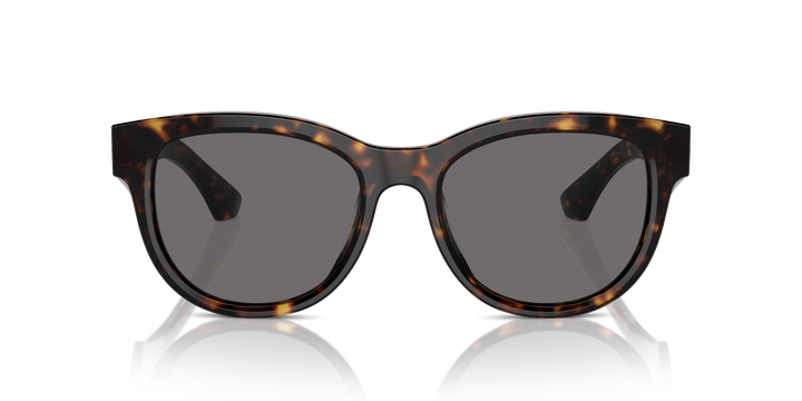 Burberry BE4432U 300281 Havana oscuro / Gris oscuro polarizado vista 5