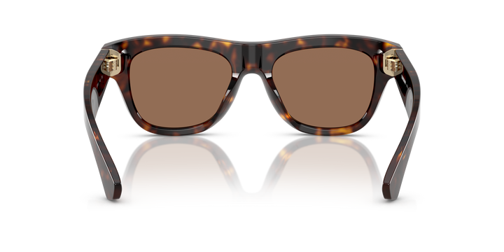 Burberry BE4438U 300273 Havana oscuro / Marrón oscuro vista 4