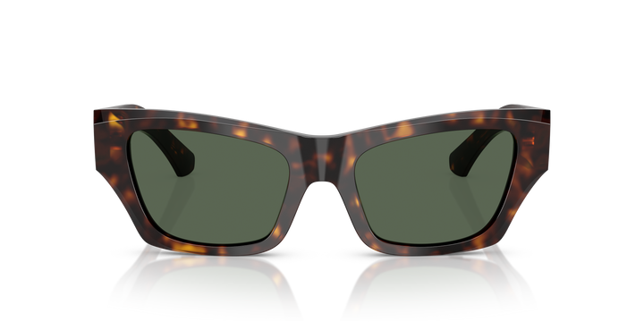 Burberry BE4441U 300271 Havana oscuro / Verde oscuro vista 5