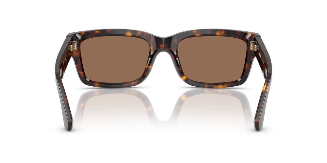 Burberry BE4443 300273 Havana oscuro / Marrón oscuro vista 4