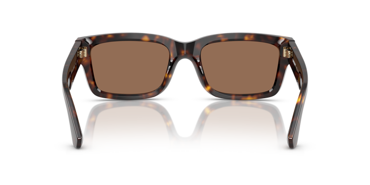 Burberry BE4443 300273 Havana oscuro / Marrón oscuro vista 4