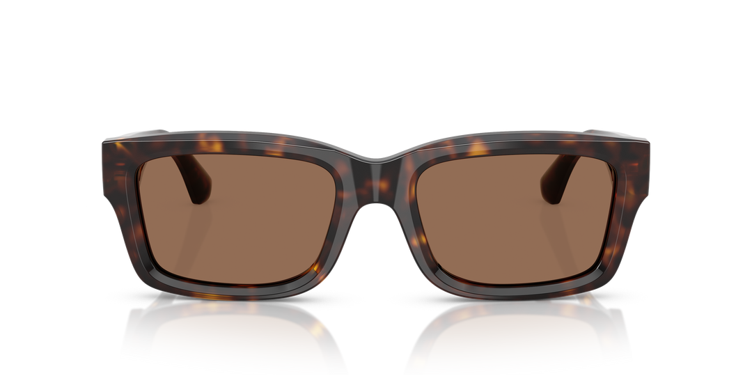 Burberry BE4443 300273 Havana oscuro / Marrón oscuro vista 5