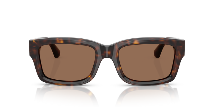 Burberry BE4443 300273 Havana oscuro / Marrón oscuro vista 5