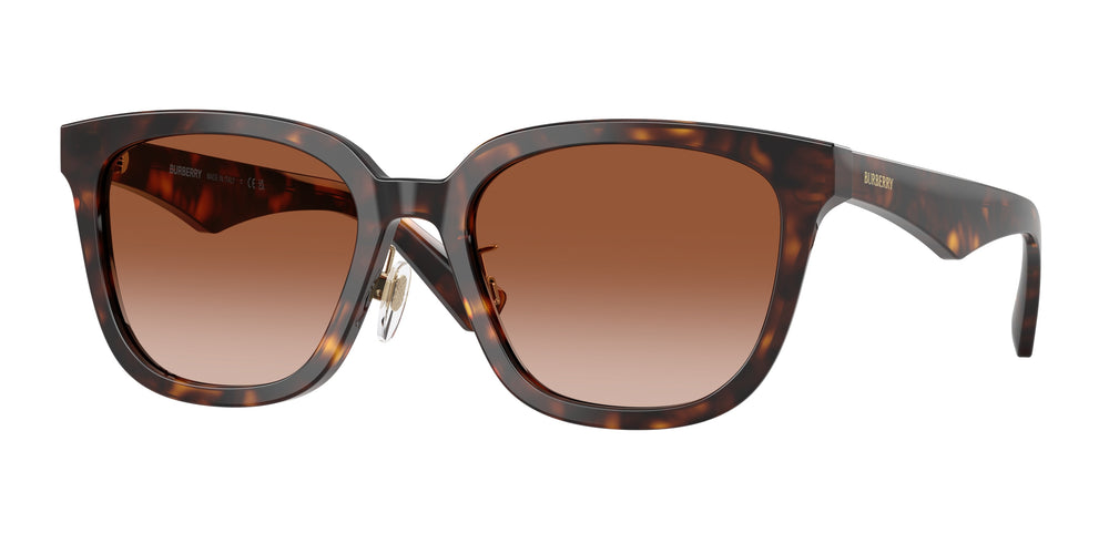 BURBERRY BE4446D
