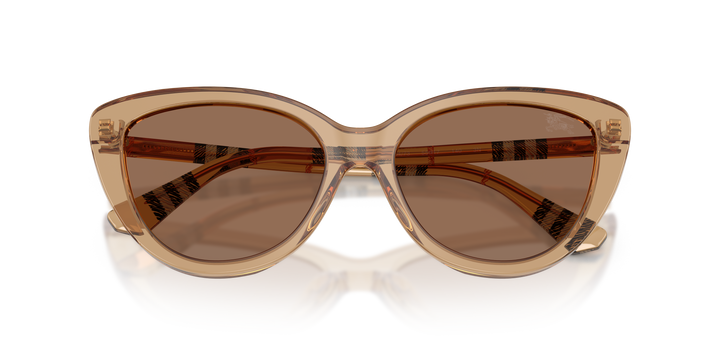 Burberry BE4457 416473 Beige / Marrón oscuro vista 6