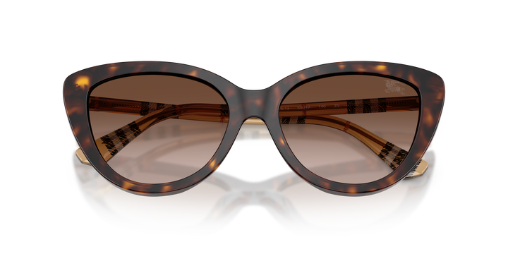 Burberry BE4457 421613 Havana oscuro / Marrón degradé vista 6