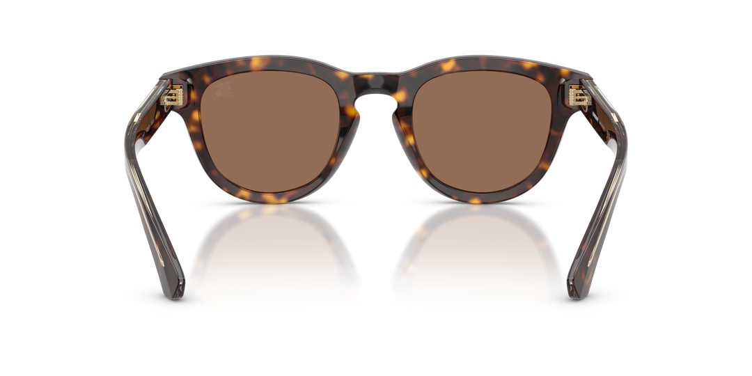 Burberry BE4477 420573 Havana oscuro / Marrón oscuro vista 4