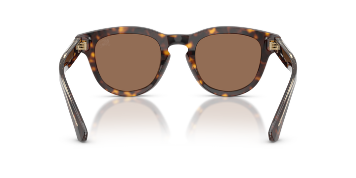 Burberry BE4477 420573 Havana oscuro / Marrón oscuro vista 4