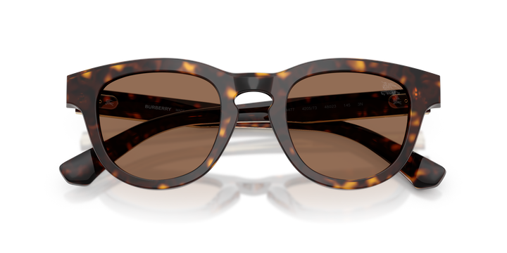 Burberry BE4477 420573 Havana oscuro / Marrón oscuro vista 6
