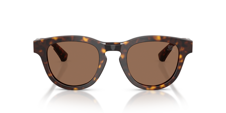 Burberry BE4477 420573 Havana oscuro / Marrón oscuro vista 5