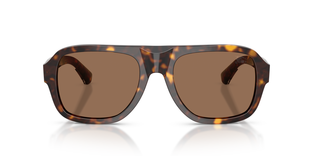 Burberry BE4478 420573 Havana oscuro / Marrón oscuro vista 5