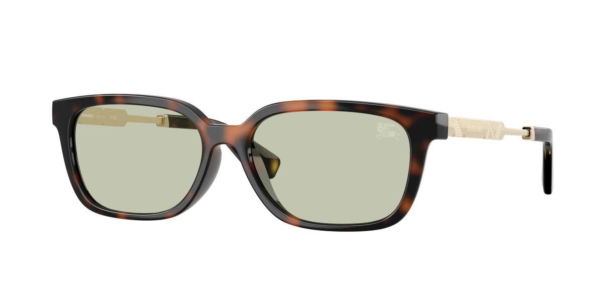 BURBERRY BE4481D · 54mm / Havana oscuro / Verde claro