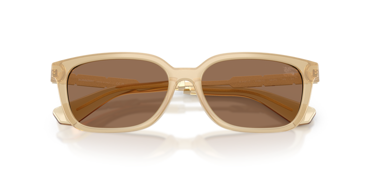Burberry BE4481D 419873 Amarillo / Marrón oscuro vista 6