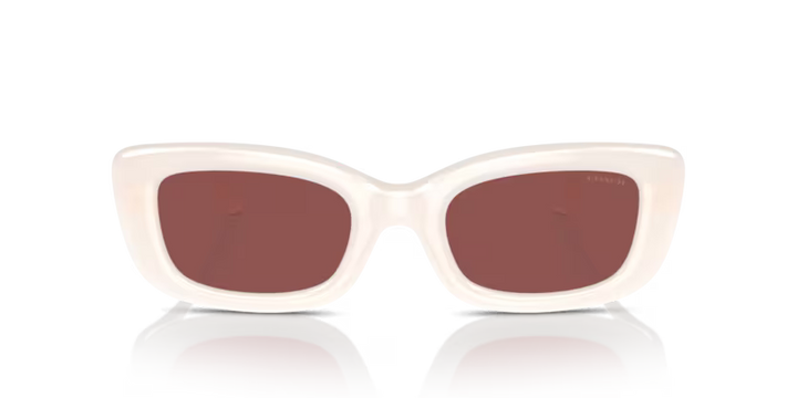 COACH HC8390U - Cr610