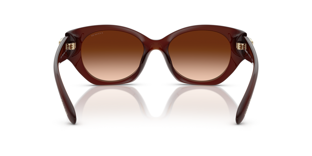 reval-myl-photo:HC8407U_584174:0hc8407u_584174_p21_shad_bk #color_52mm