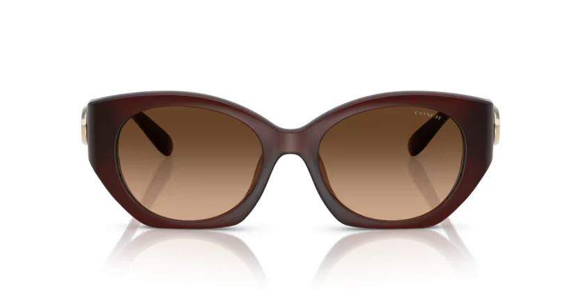 Coach 0HC8407U - Cw194