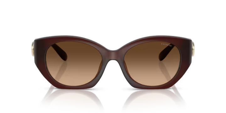 Coach 0HC8407U - Cw194