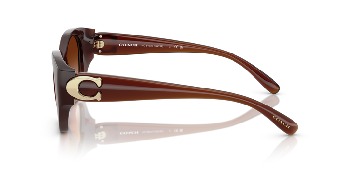 reval-myl-photo:HC8407U_584174:0hc8407u_584174_p21_shad_lt #color_52mm