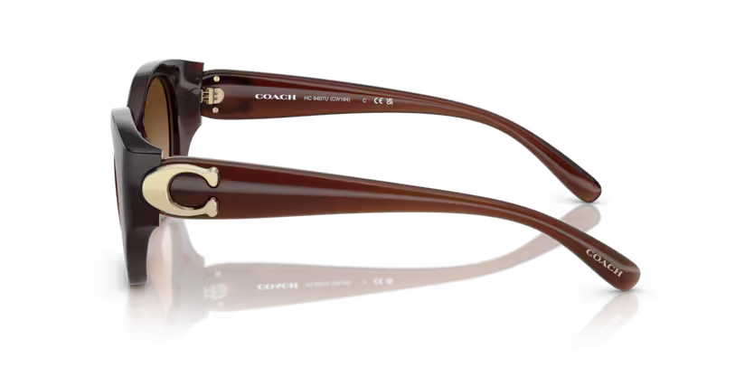 Coach 0HC8407U - Cw194