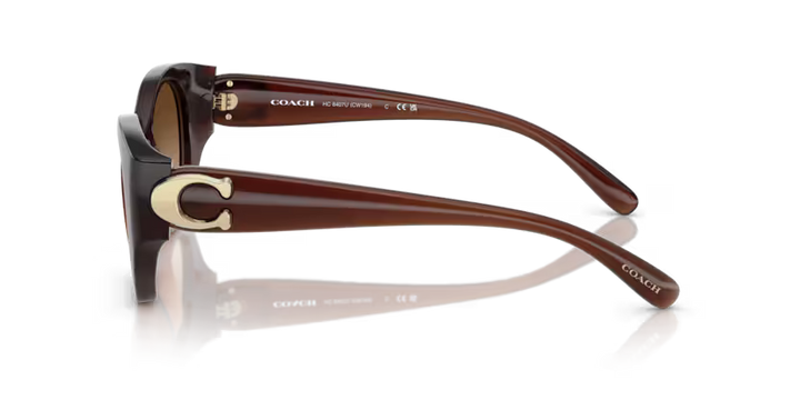 Coach 0HC8407U - Cw194