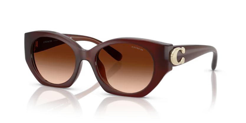 Coach 0HC8407U - Cw194