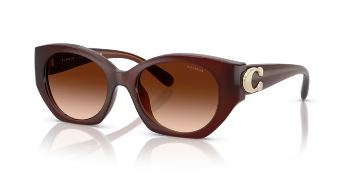 Coach 0HC8407U - Cw194