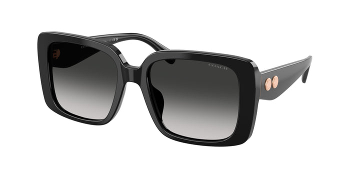 Coach Hc8424U - Cad54 50023C Negro / Gris Degradé