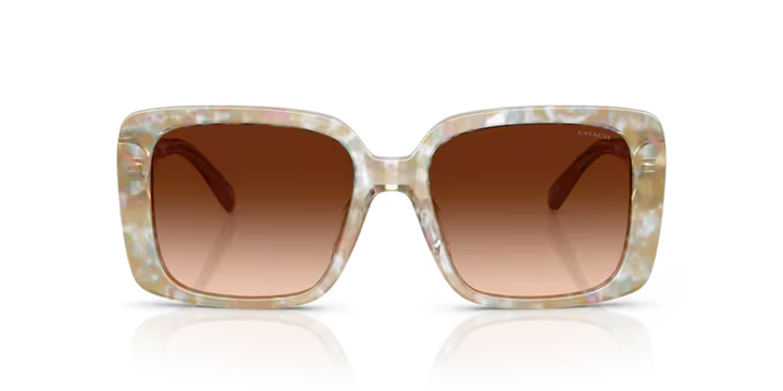 COACH HC8424U - Cad54