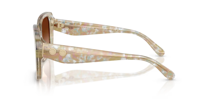 COACH HC8424U - Cad54