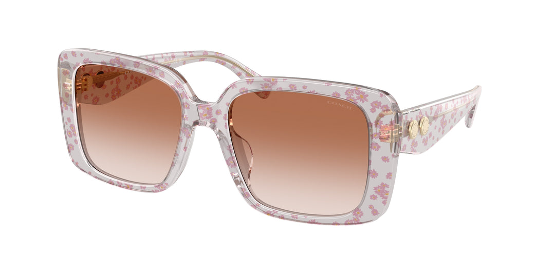 Coach Hc8424U - Cad54 595313 Estampado Floral Rosa Traslúcido / Rosa Degradé