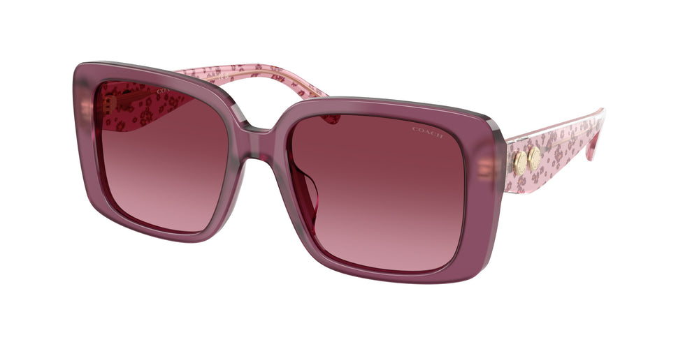COACH HC8424U - Cad54